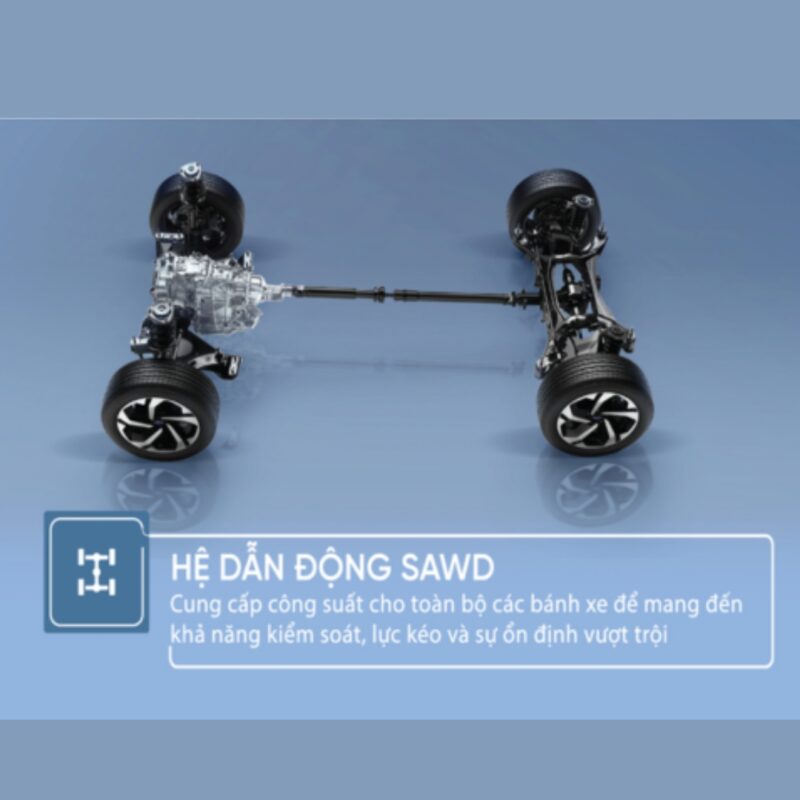 He dan dong SAWD la gi