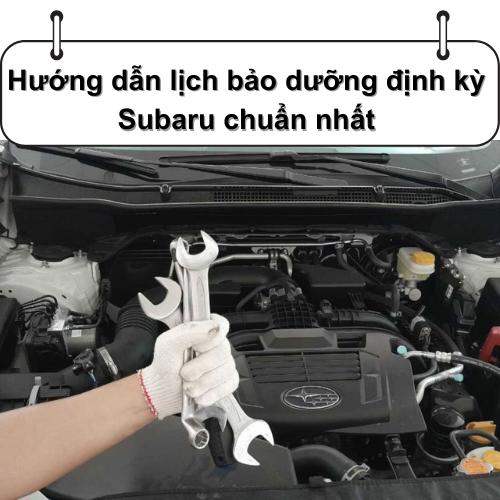 Cover bao duong o to