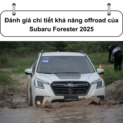 Cover offroad