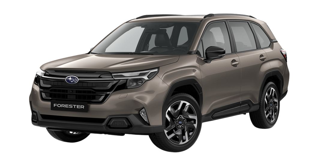 Brilliant Bronze Metallic