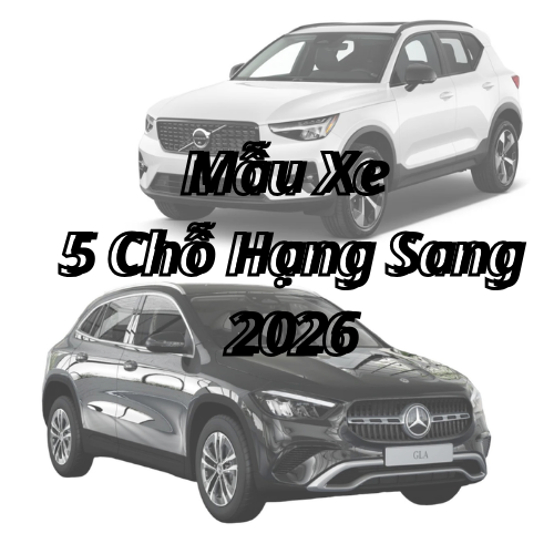 MAU XE 5 CHO HSDMN2026