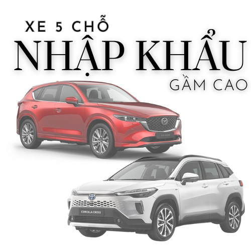 XE 5 CHỖ GẦM CAO NHẬP KHẨU