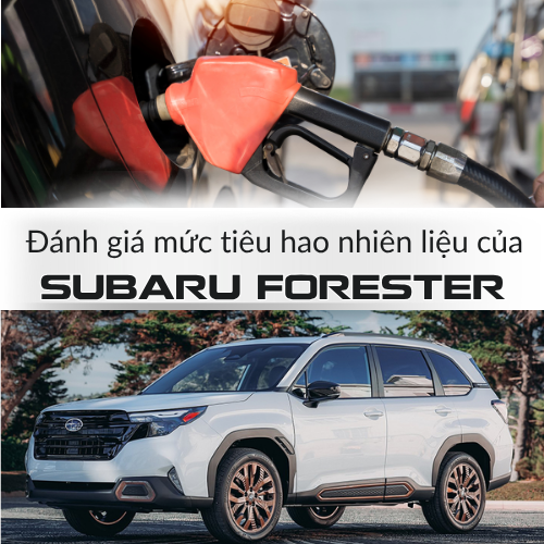 anh cover website