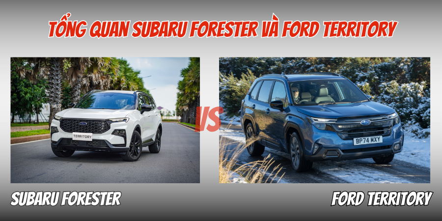 Subaru Forester Và Ford Territory Xe Nào Tiết Kiệm Xăng Hơn 1 Tổng quan Subaru Forester và Ford Territory