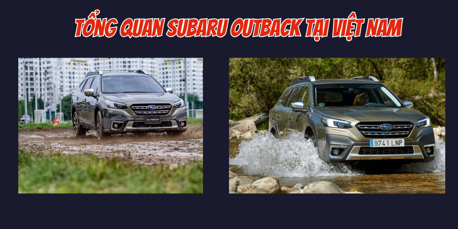 Tổng quan Subaru Outback tại Việt Nam