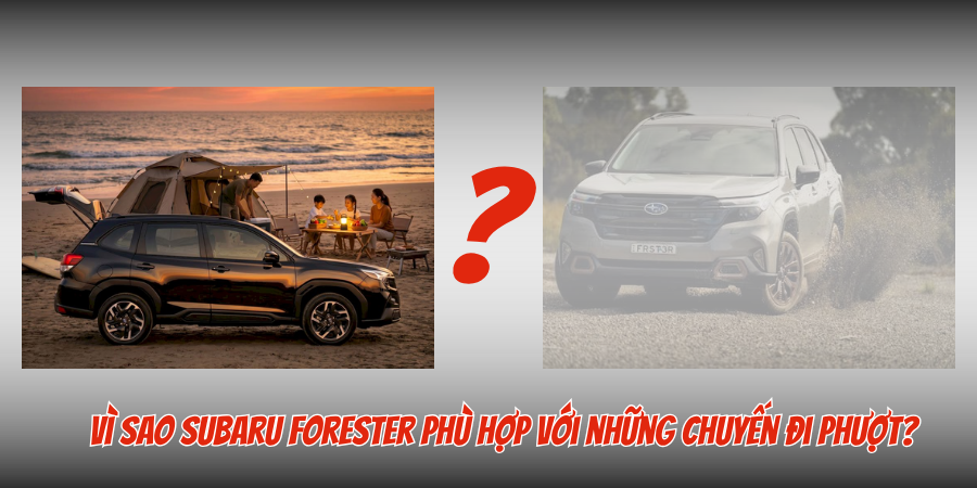 Top xe đi phượt tốt nhất năm 2026 nên cân nhắc 3 Vì sao Subaru Forester phù hợp với những chuyến đi phượt?