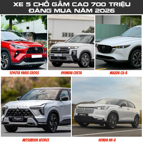 Xe 5 Chỗ Gầm Cao 700 Triệu Đáng Mua Năm 2026