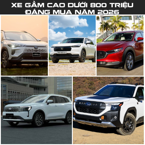 xe gam cao duoi 800 trieu