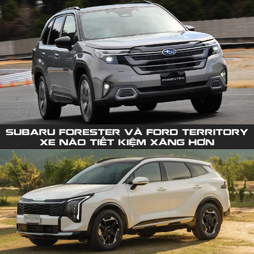Subaru Forester Và Ford Territory Xe Nào Tiết Kiệm Xăng Hơn